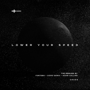 Lower Your Speed (Disko Dario Remix)