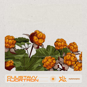 Crunching the Numbers