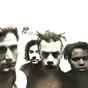 Space Between Your Moles