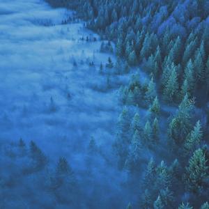 Blae World In The Green Dome（蓝雾森林）