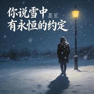 你说雪中有永恒的约定