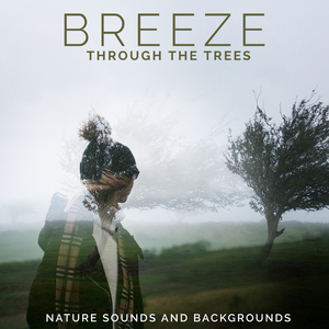 Tree Branch Rain Shelter