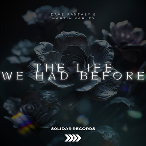 The Life We Had Before