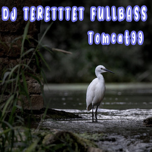 Dj Teretttet Fullbass