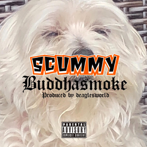 Scummy