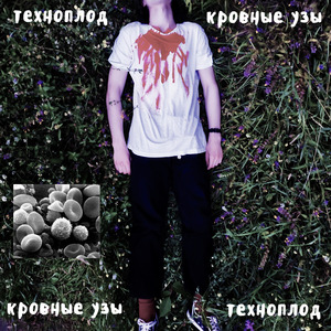 Кровные узы