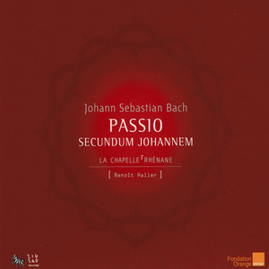Johannespassion, BWV 245: No. 19, Aria "Ach windet euch nicht so, geplagte Seelen"