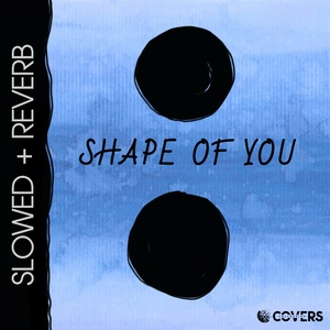 Shape Of You (Slowed + Reverb Instrumental)