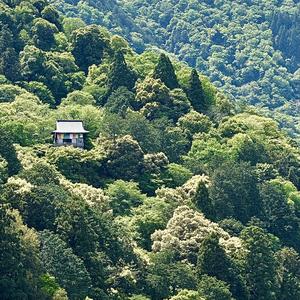 Sorry...I'm Bored Again