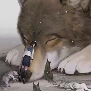 硬币两面