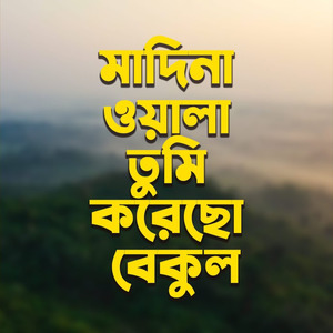 মাদিনা ওয়ালা তুমি করেছো বেকুল