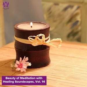 Wholesome Recovery Sound