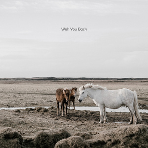 빗소리가 들리는 오후