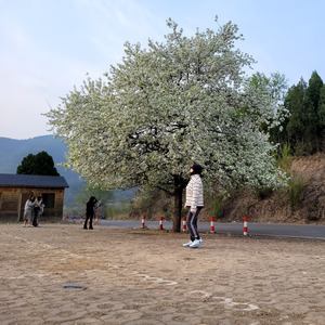 原来爱是这样的