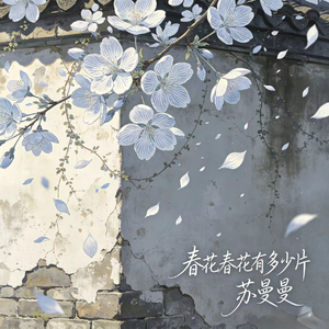 春花春花有多少片