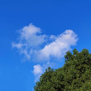 没你也能活下去