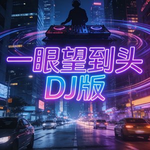一眼望到头DJ版