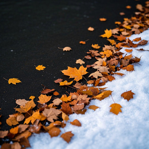 季節の境界線（シーズンズ・ライン）