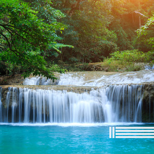 森林水（循环）