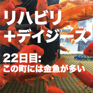 22日目:この町には金魚が多い