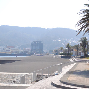 クリスマスの朝