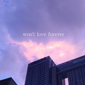 won't love forever