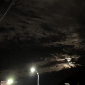 我希望你别嚣张世界会撒谎 [shinju]