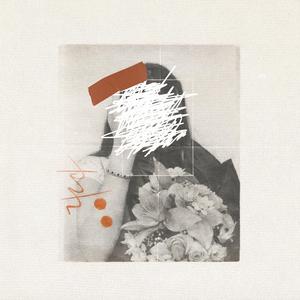 nacen flores del baldío