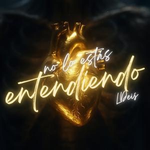 NO LO ESTÁS ENTENDIENDO