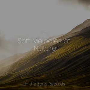 Mindscape