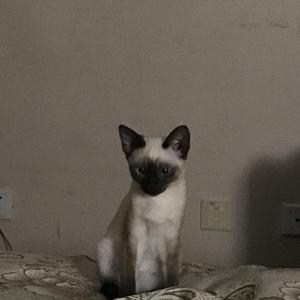 在我生命出现的人