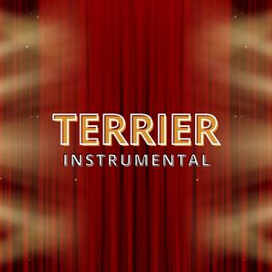 TERRIER