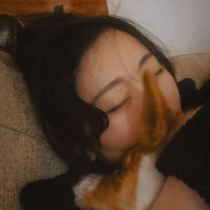 失眠记事本