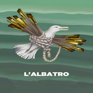 Albatro