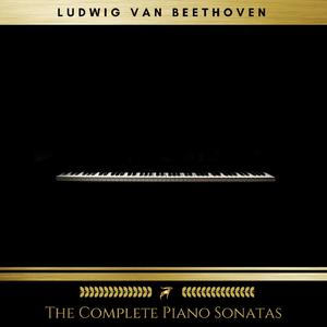 Piano Sonata no. 15 in D, Op. 28: Pastoral. Andante