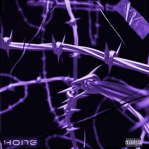 Hone (Seerfor Remix)