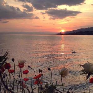 给我一个理由忘记