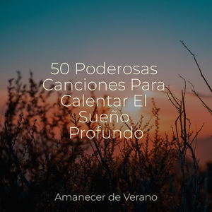 Resplandecientes Ritmos de Resurgimiento