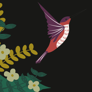 Suara Masteran Burung Semua Jenis