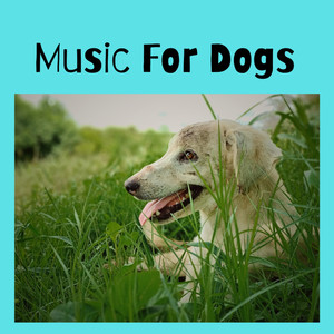 Music For Dogs Peace