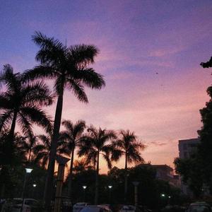 蓝心羽-贩卖日落（婼熙Camilia remix）