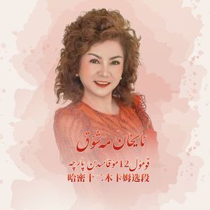 Ayhan Maxuk/月夜恋人