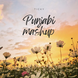 Punjabi Mashup (Punjabi)