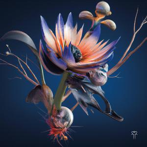 Pokito a Poko (feat. Chambao) (Remix)