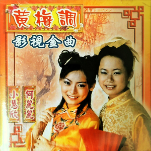 夫妻双双把家还