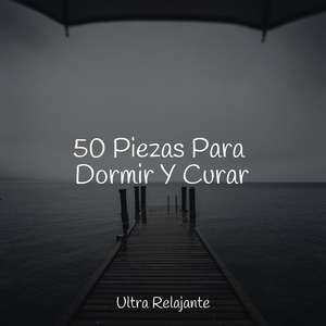 Atrayendo Sonidos De Serenidad
