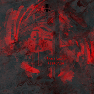 Reinforced (Dipaziv Remix)