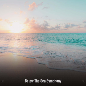 Relaxing Ocean Sounds