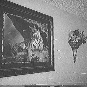 To: You (feat. A.M.E.C.K.)