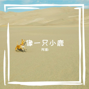 密西西比河畔的泪影